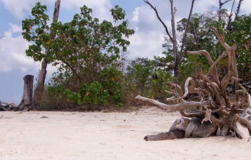 Andaman Tour