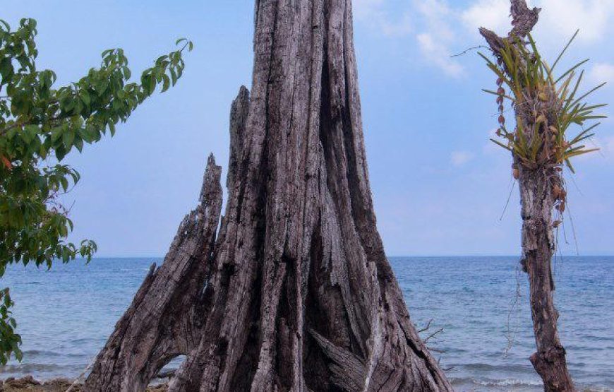 Andaman Tour