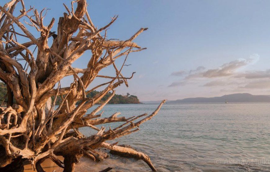 Andaman Tour