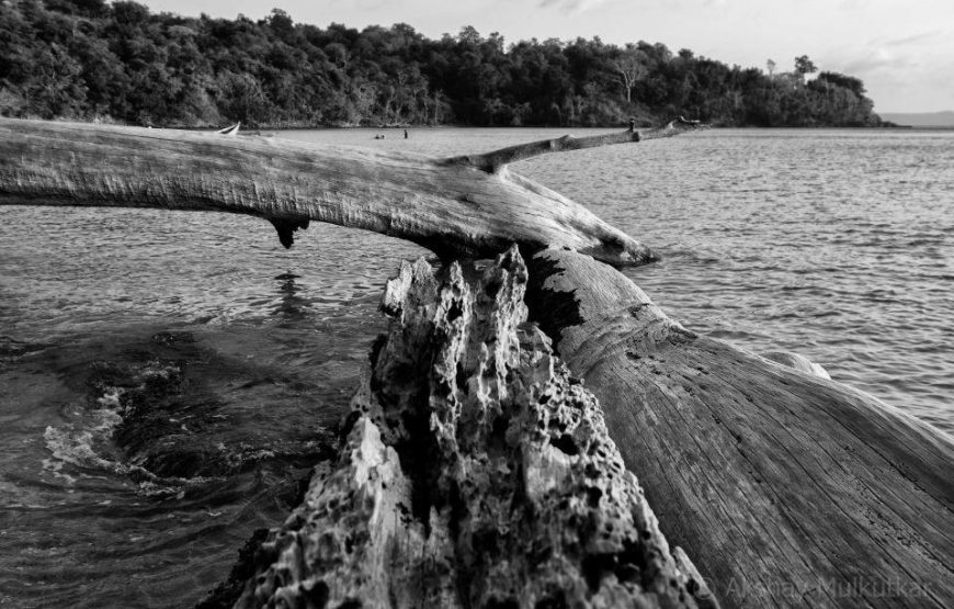 Andaman Tour