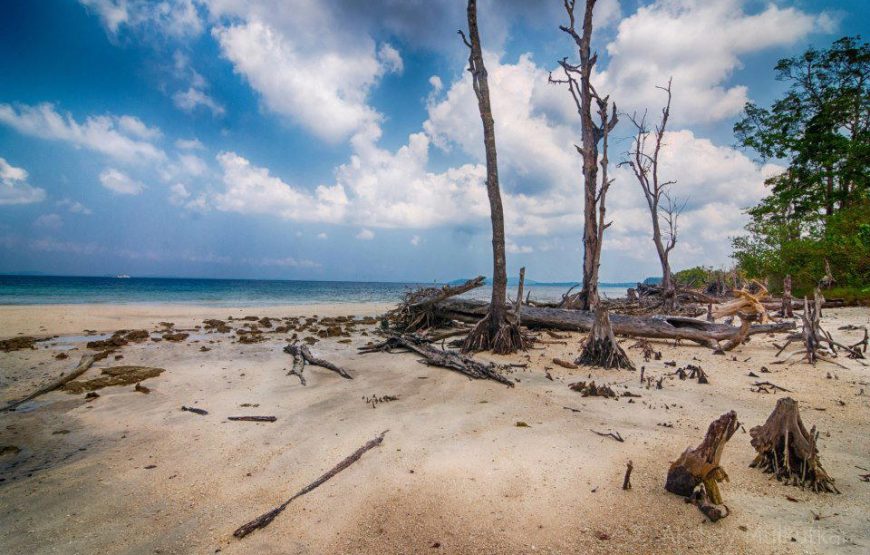 Andaman Tour