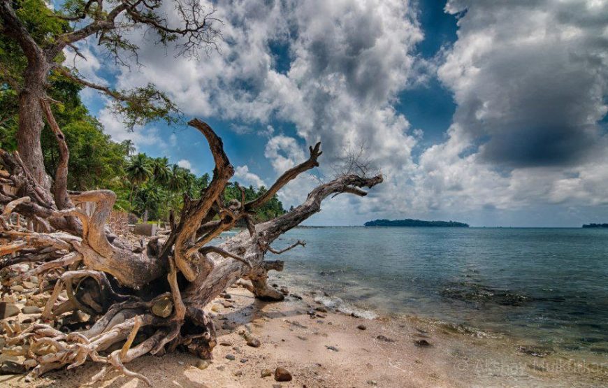 Andaman Tour