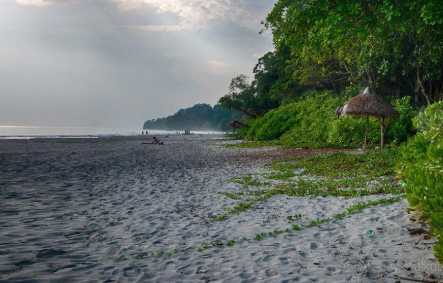 Andaman Tour