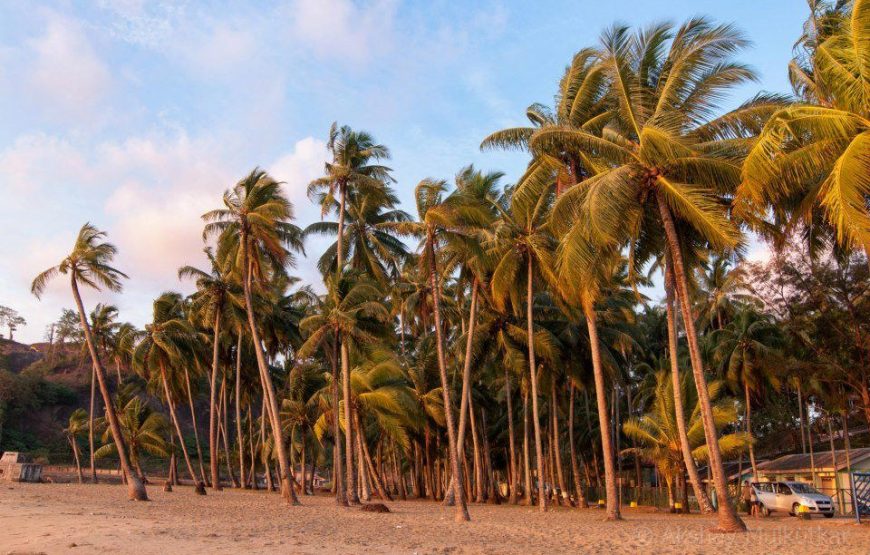 Andaman Tour