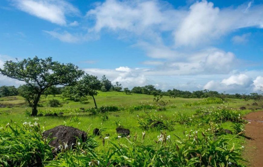 Andharban Trek From Pune