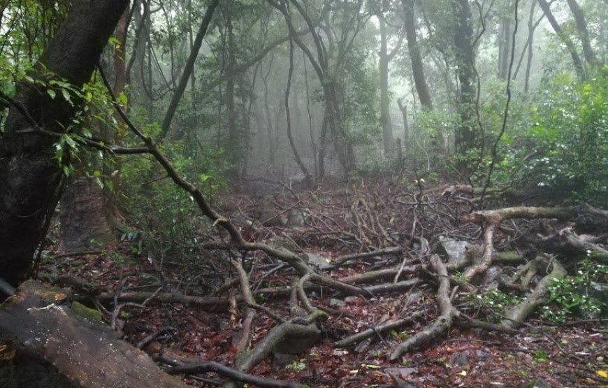 Andharban Trek From Pune