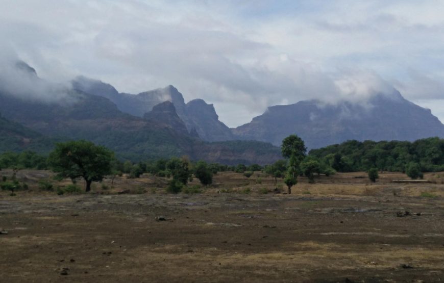 Bhandardara Fireflies Festival Special Camping 2026