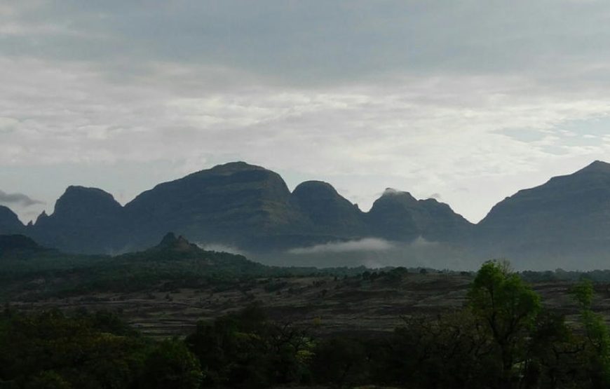 Bhandardara Fireflies Special Camping From Pune