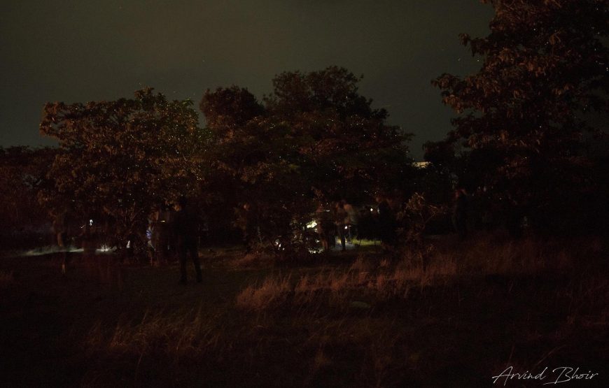 Bhandardara Fireflies Festival Special Camping 2026