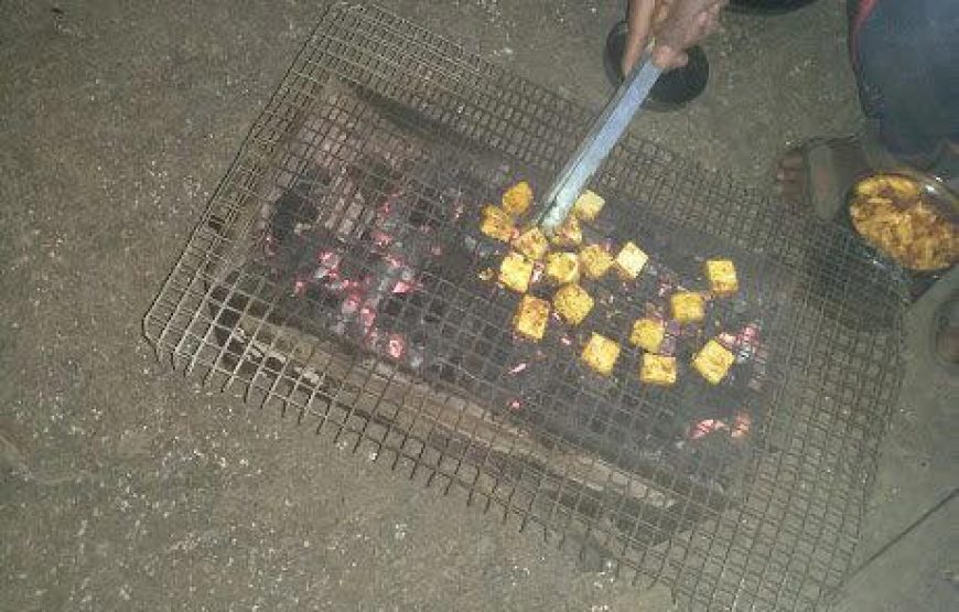 Bhandardara Lakeside Camping