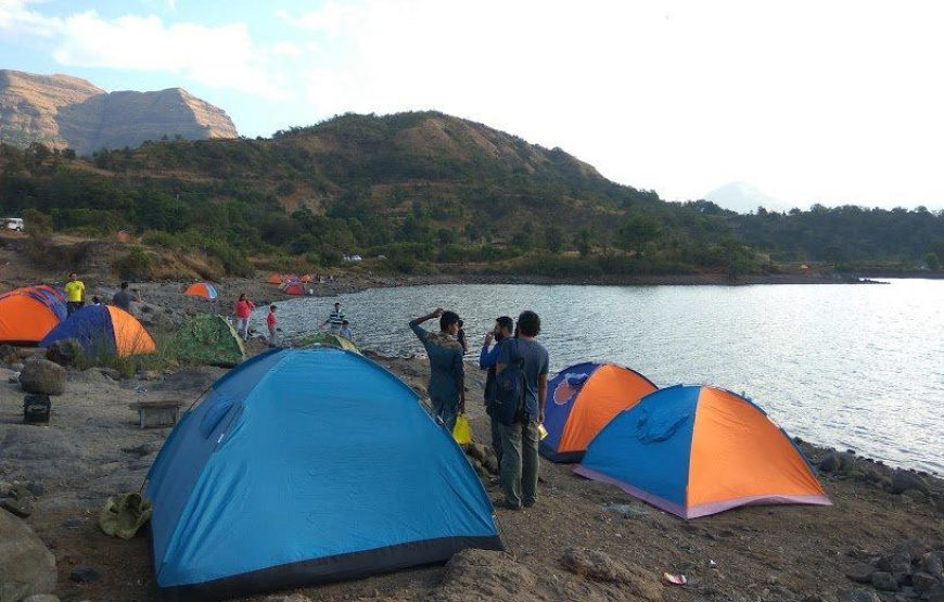 Bhandardara Lakeside Camping