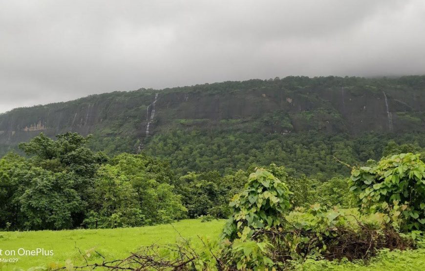Lonavala to Bhimashankar Range Trek