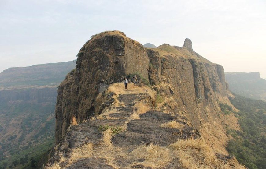 Trek to Brahmagiri & Durg Bhandar