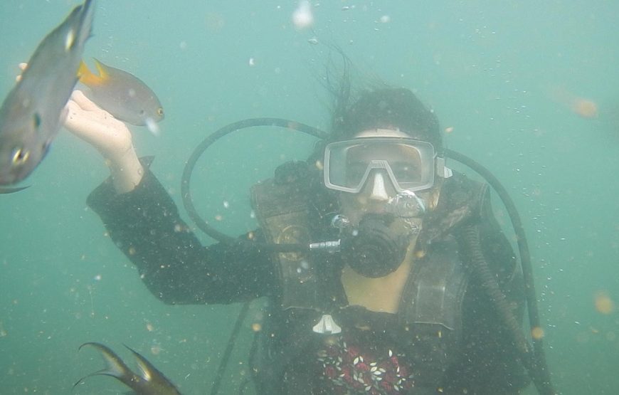 Scuba Diving Special Tour to Malvan