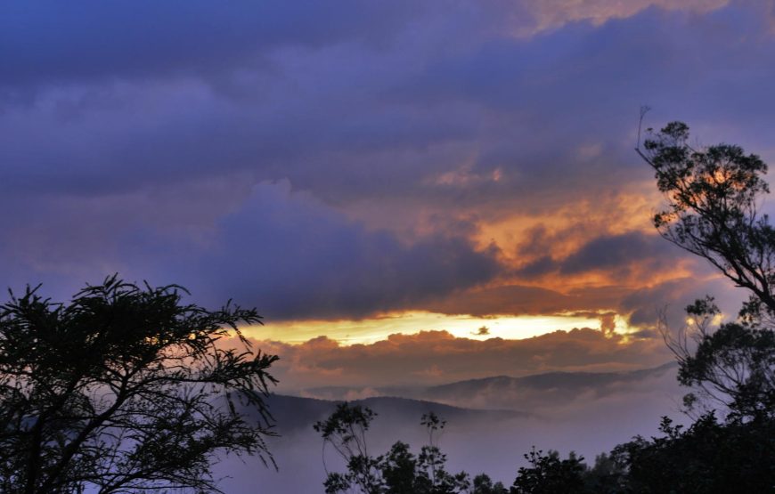 Holi Special Coorg Tour