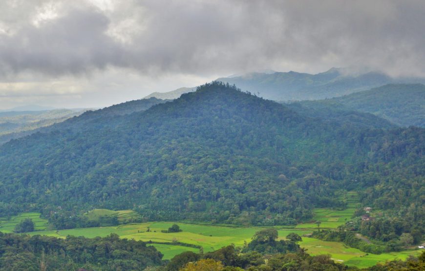 Holi Special Coorg Tour