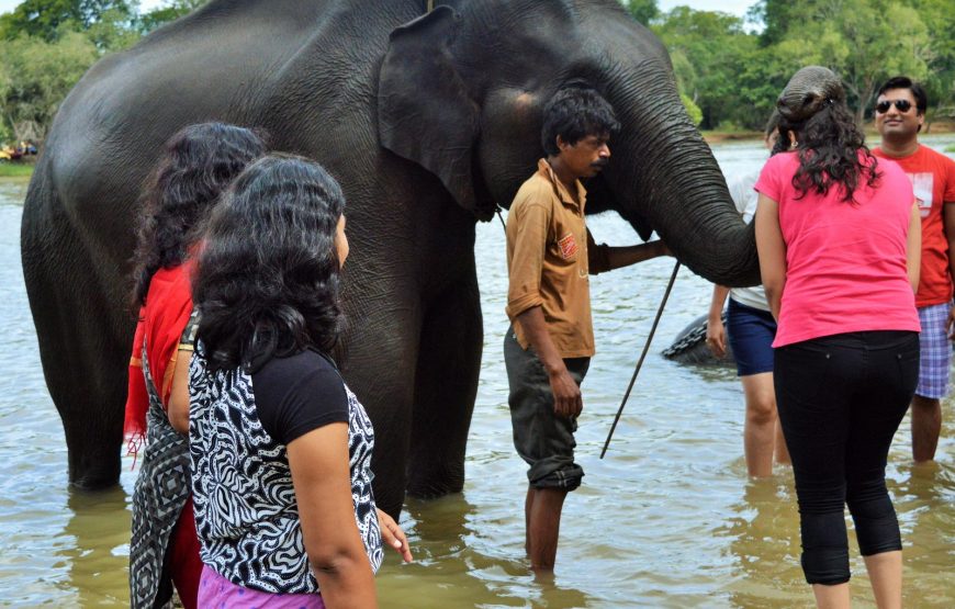 Holi Special Coorg Tour