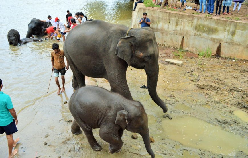 Coorg Backpacking Trip