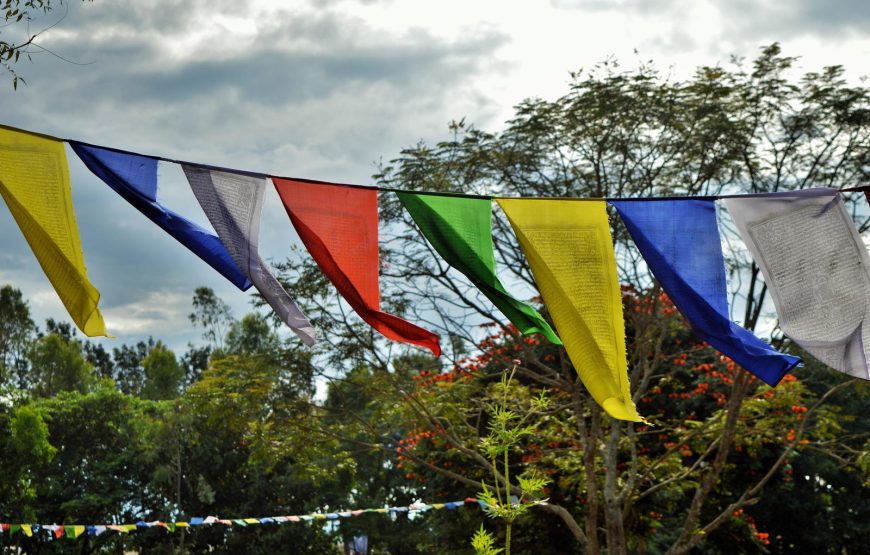 Holi Special Coorg Tour