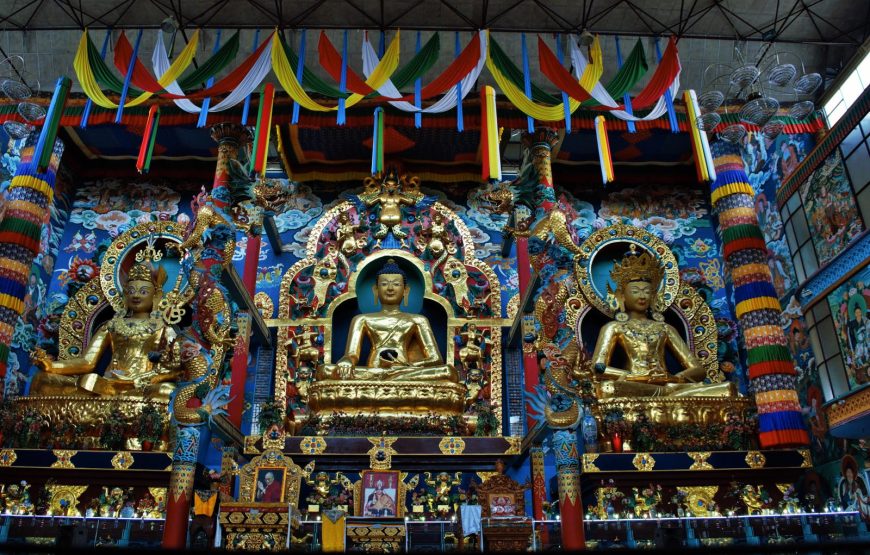 Coorg Backpacking Trip