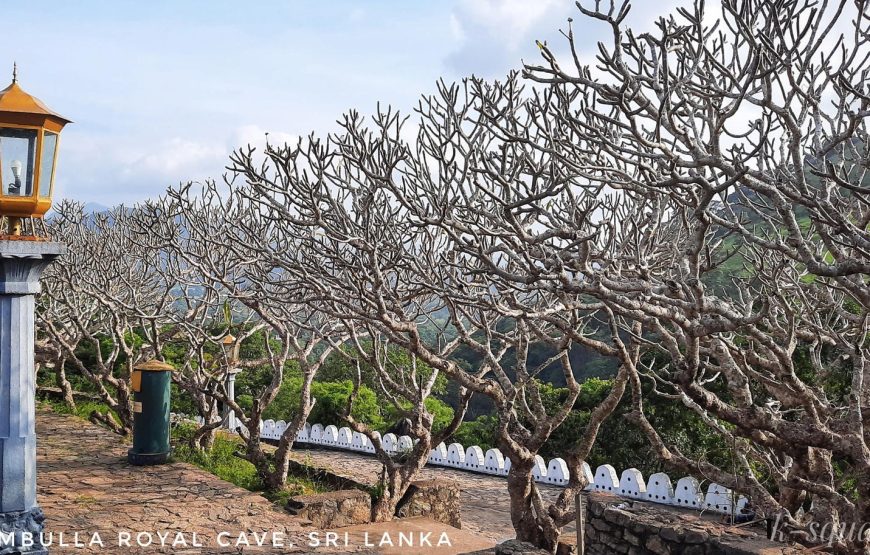 Sri Lanka Backpacking Tour From Mumbai