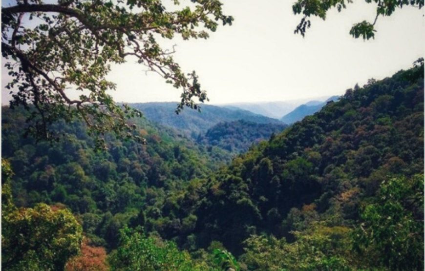 Dandeli Forest Adventure Tour