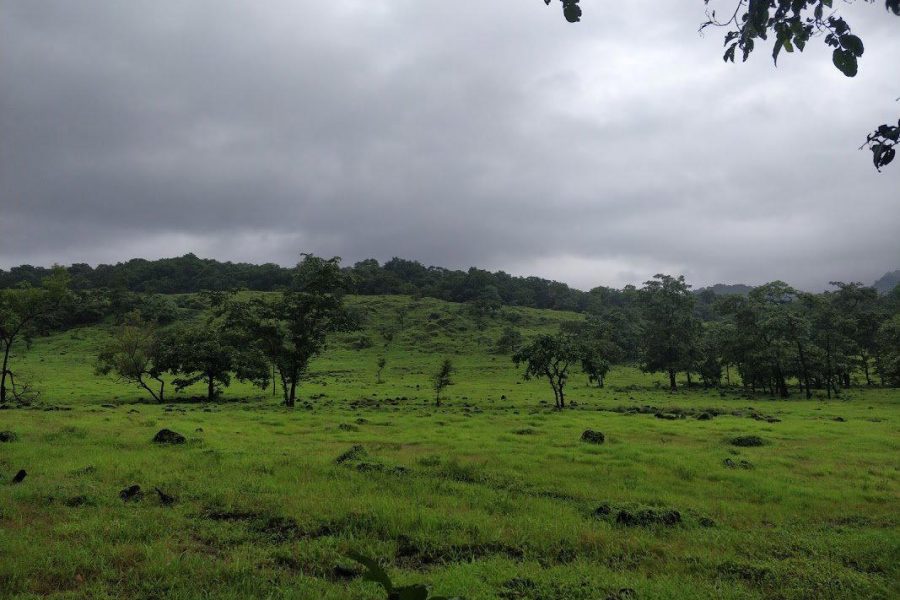 Dudhsagar Waterfall and Tambdi Surla Waterfall Trek