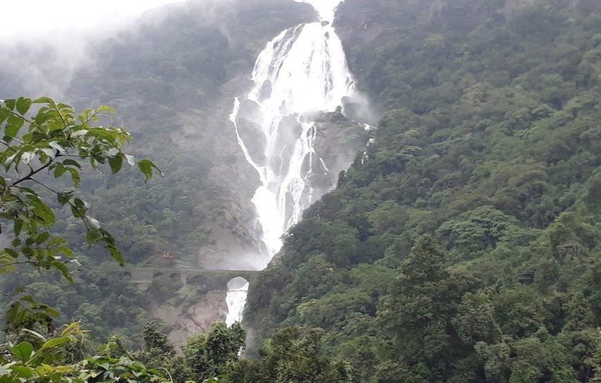 Dudhsagar Waterfall and Tambdi Surla Waterfall Trek