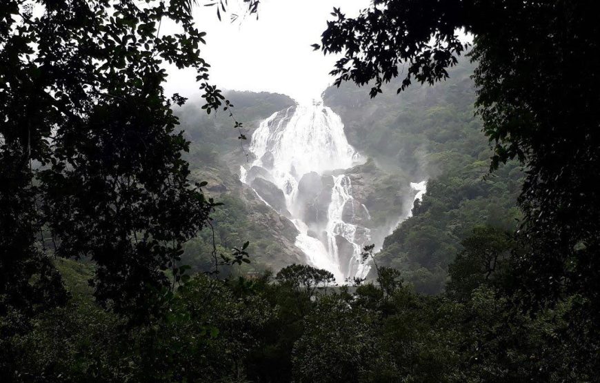 Dudhsagar Waterfall and Tambdi Surla Waterfall Trek