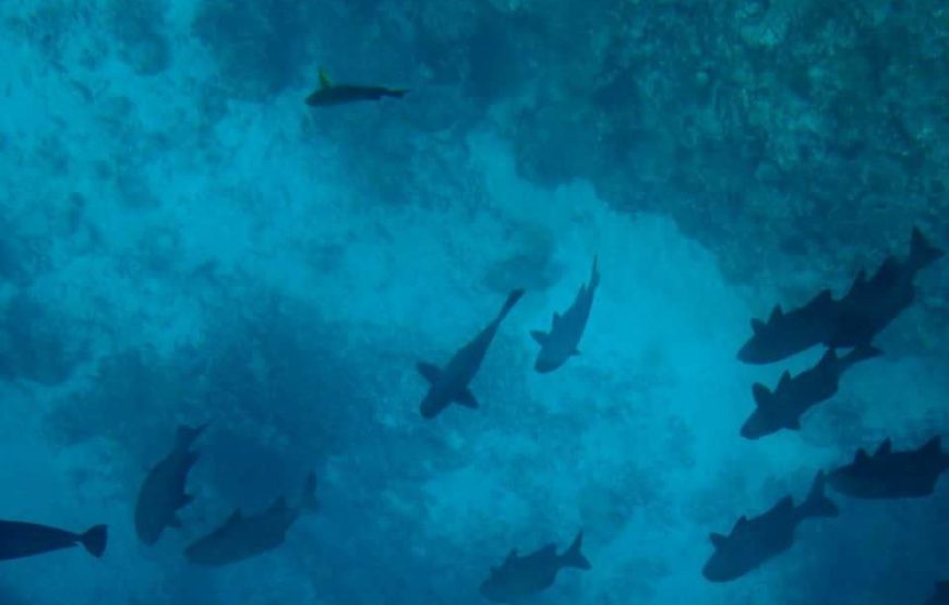Lakshadweep Tour