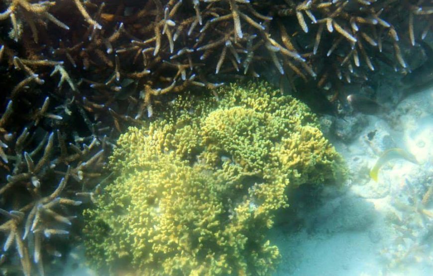 Lakshadweep Tour
