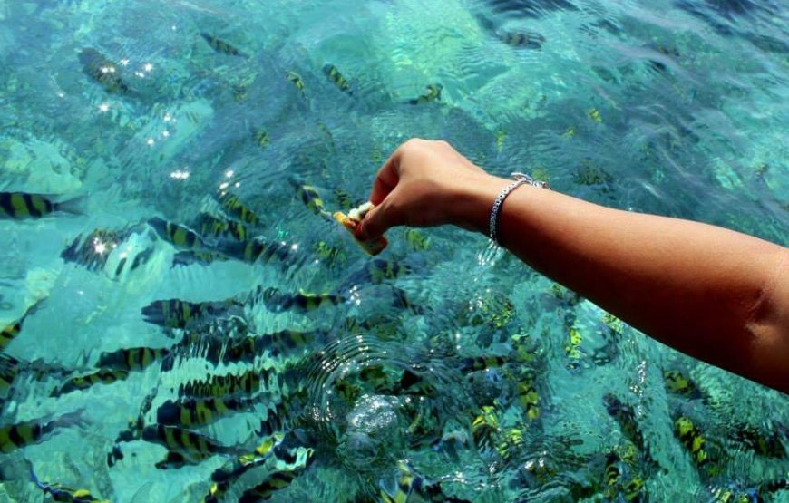 Lakshadweep Tour