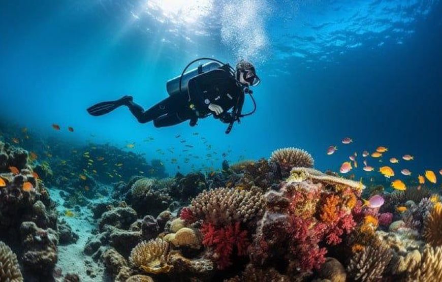 Malvan Exploration Tour
