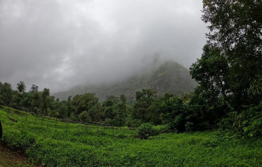 Nanemachi Waterfall Trek