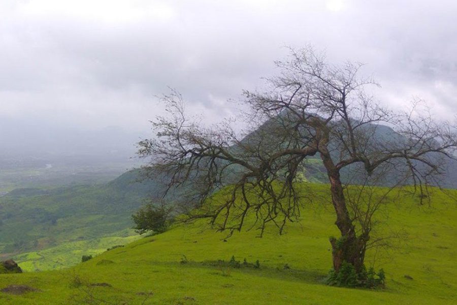 Garbett Plateau Night Trek