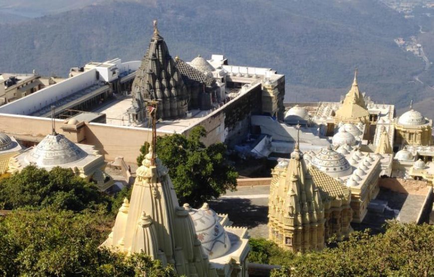 Somnath, Girnar and Gir National Park Tour