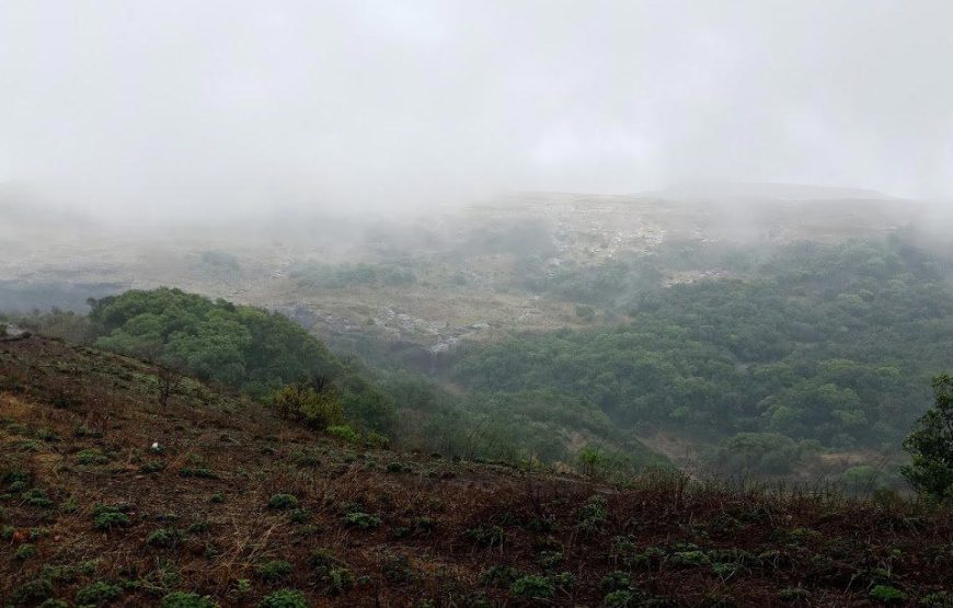 Harishchandragad Fort Monsoon Trek