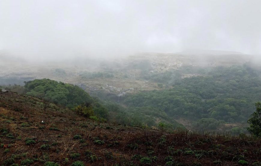 Overnight Trek to Harischandragad