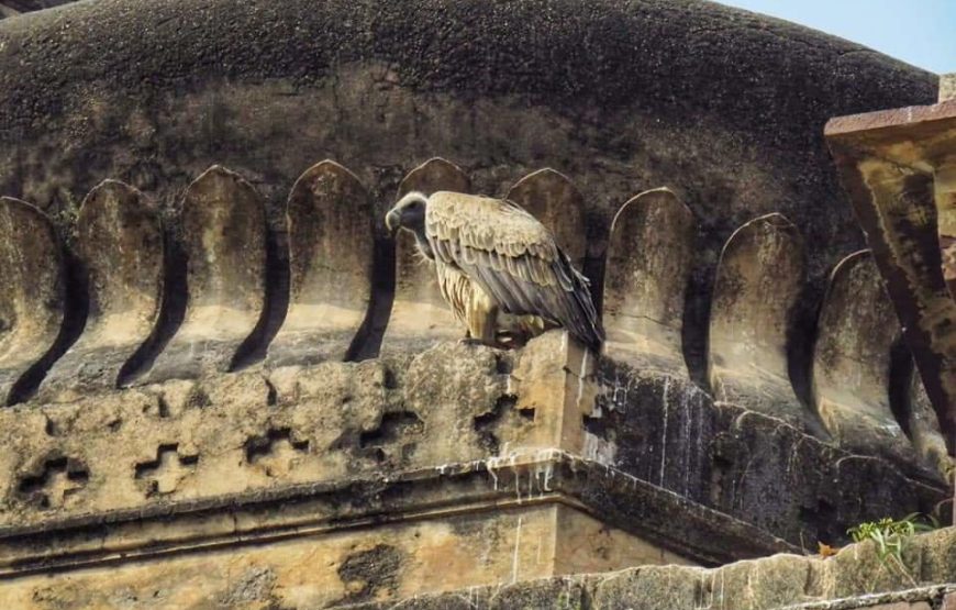 Khajuraho-Jhansi–Orchha Heritage Tour