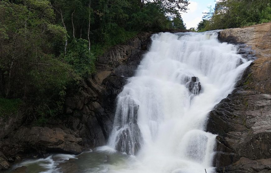 Wayanad Green Paradise Tour