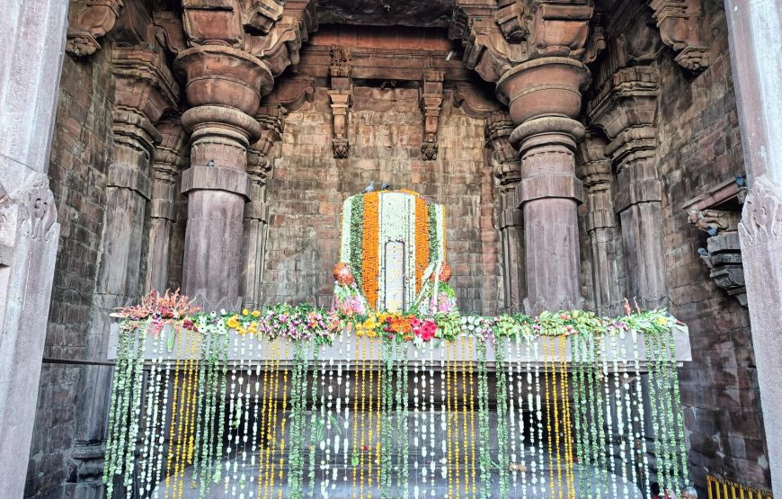 Bhimbetka Caves & Sanchi Stupa Heritage Tour