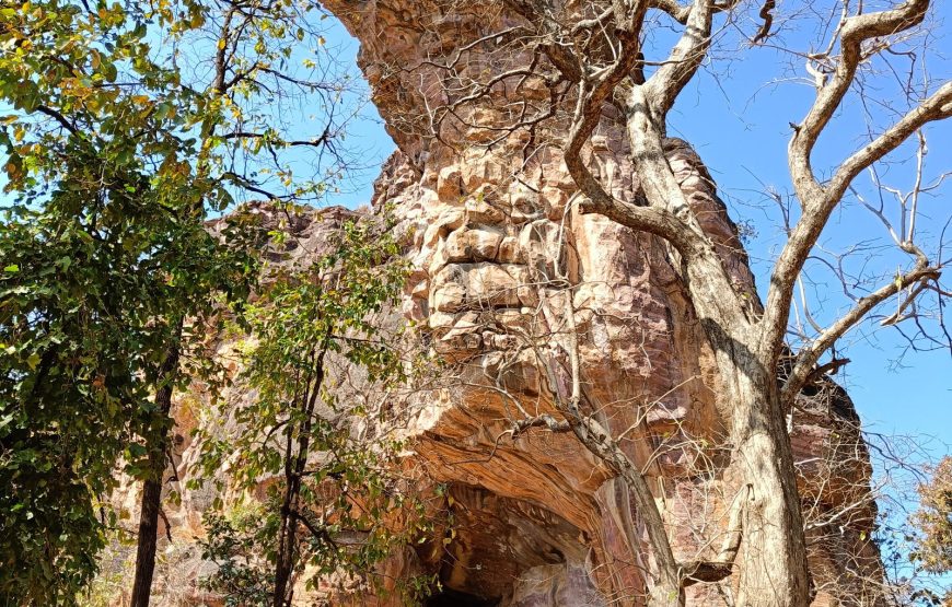 Bhimbetka Caves & Sanchi Stupa Heritage Tour
