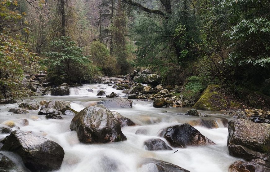 Jibhi Tirthan Valley tour Package – Offbeat Himachal Trip