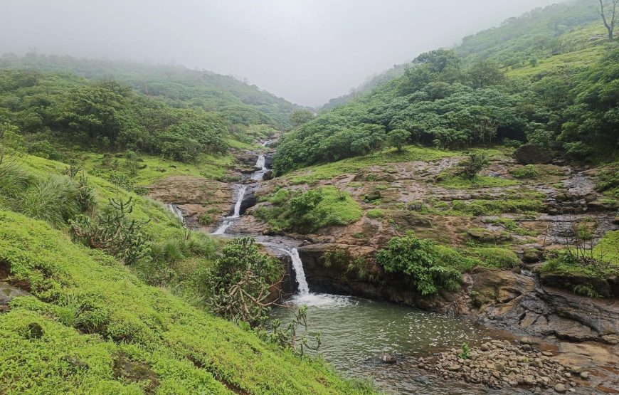 Windmills Jungle Trek