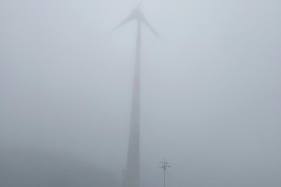 Windmills Jungle Trek