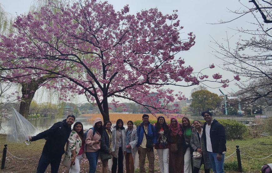 Cherry Blossom Special Japan Backpacking Tour