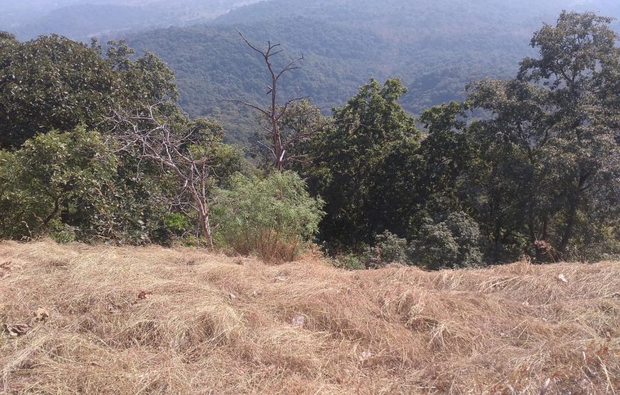 Karnala Fort Monsoon Trek