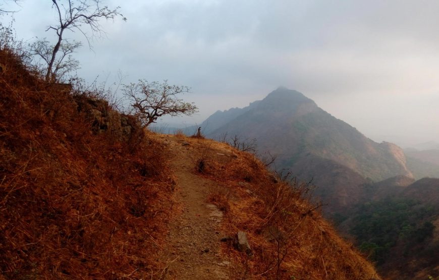 Vikatgad (Peb) Night Trek