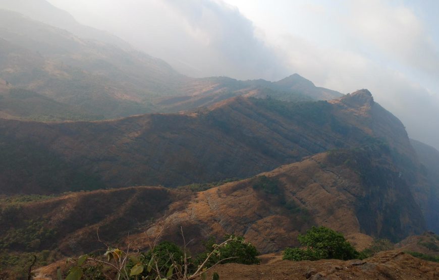 Vikatgad (Peb) Night Trek