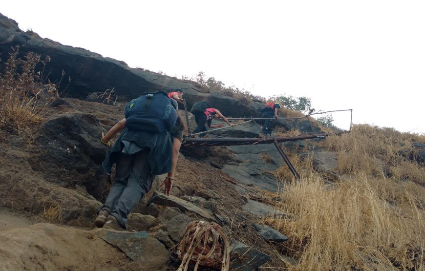 Vikatgad (Peb) Night Trek